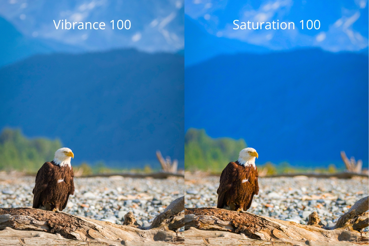 vibrance vs saturation